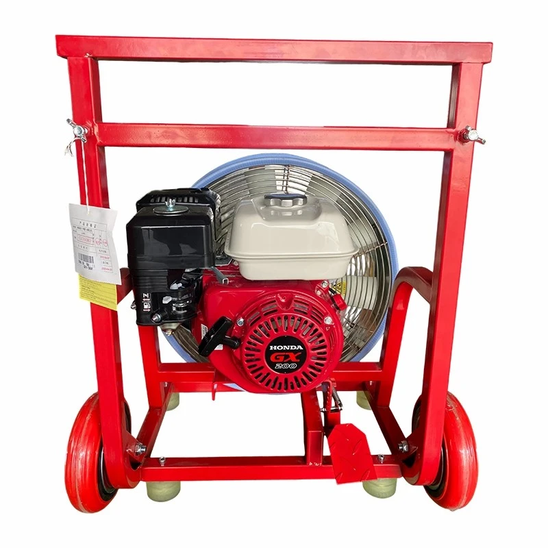 product-800-800