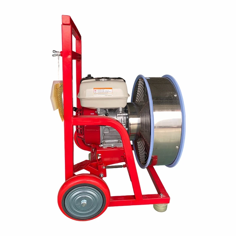 product-800-800
